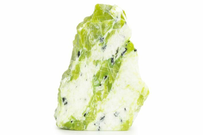 Free-Standing Polished Noble Serpentine - Washington #372478